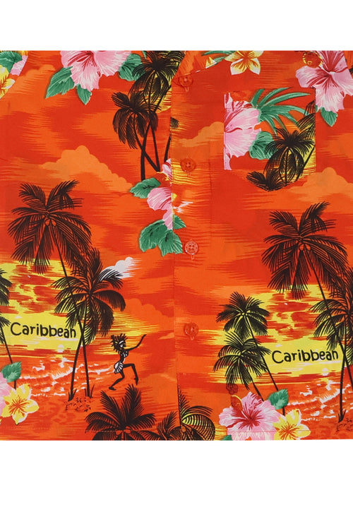 Beach Boy Set